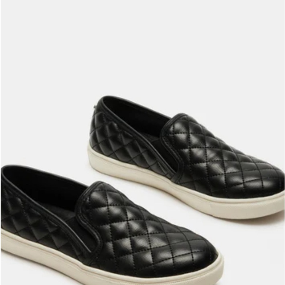 Steve Madden Ecentrcq
